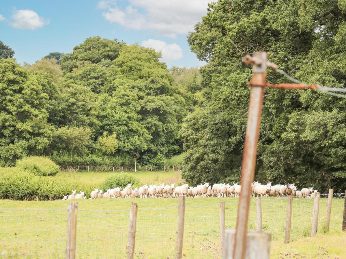 Holly Farm Cottage Newbridge on Wye Екстериор снимка